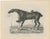 After Chalon, Racehorse Training Scene, Lithograph, 1840 For Sale - Image 3 of 9