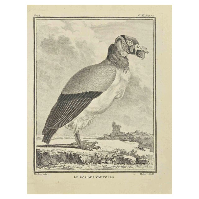 F. Hubert, Le Roi Des Vautour, Etching, 1771 For Sale