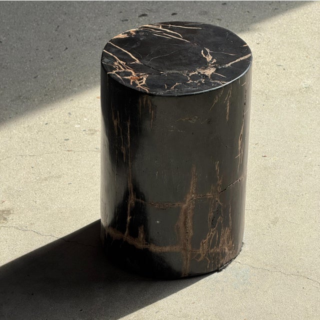 Small Side Table in Black Petrified Wood with Beige Striations For Sale - Image 13 of 18