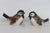 Goebel W Germany Cv73 and Cv74 Pair of 2 Porcelain Sparrow Bird Figurines 4899b For Sale - Image 17 of 18