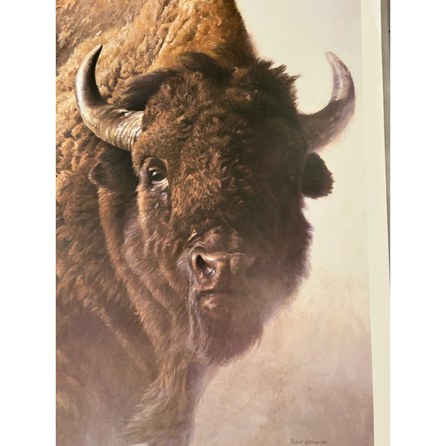 1990s Vintage Bison Study Poster by Robert Bateman 1997 For Sale - Image 5 of 10