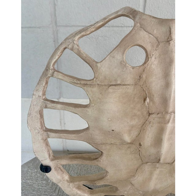 Wildwood Organic Modern Sulcata Turtle Sculpture For Sale - Image 4 of 5