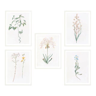 Celerie Kemble Curated Australian Botanical Set of 5 (24X30) in White Frame For Sale