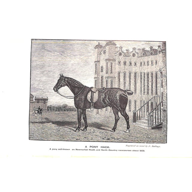 1900 - 1909 "Ponies Past and Present" 1900 Gilbey, Sir Walter Bart. For Sale - Image 5 of 6