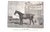 1900 - 1909 "Ponies Past and Present" 1900 Gilbey, Sir Walter Bart. For Sale - Image 5 of 6