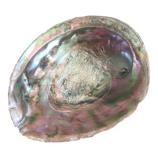 Natural Abalone Shell Bowl For Sale