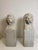 Florentine Lions in White Carrara Marble, Late 19th Century, Set of 2 For Sale - Image 4 of 13