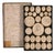Antique 18th Century Grand Tour Plaster Intaglios in Leather & Marble from Pietro Bracci For Sale