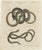 Bertuch, Four Snakes in Colourful Coils, 1805, Print For Sale - Image 3 of 12