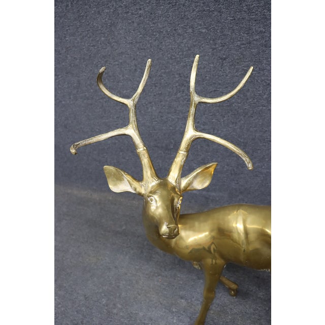 Metal Solid Brass Deer Sculpture For Sale - Image 7 of 8