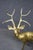 Metal Solid Brass Deer Sculpture For Sale - Image 7 of 8