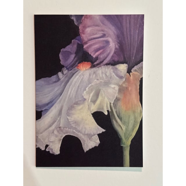Marianne Stikas This Is a Set of 6 Botanical Folded Note Cards Printed From My Pastel Drawings of Plants and Flowers For Sale - Image 4 of 10
