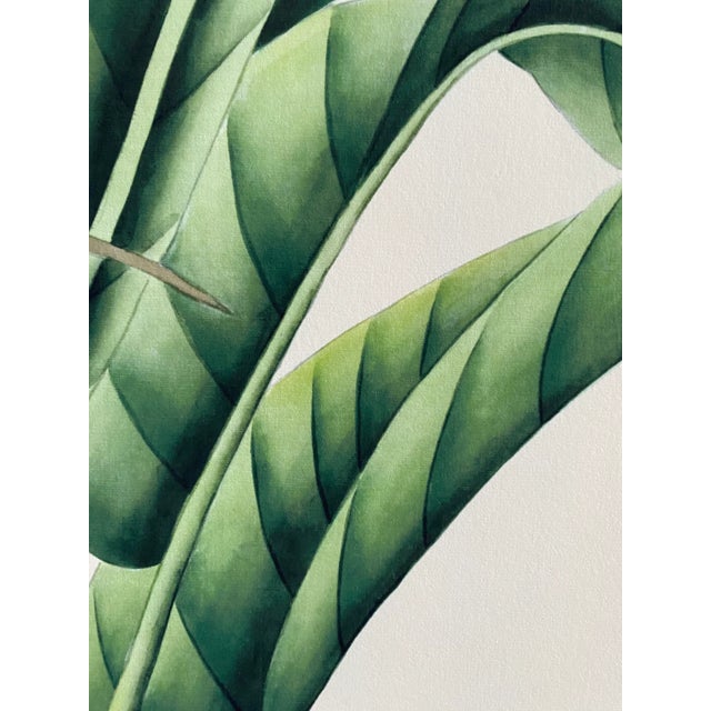 Paper W24"*h48"/Panel, a Set of 2 Panels Vintage-Style Botanical Panels With Crowned Cranes on Cream Ground (No Frame) For Sale - Image 7 of 8