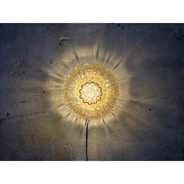 Floral Glass Ceiling Light from Fischer Leuchten, 1970s For Sale - Image 4 of 10