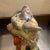 Mid 20th Century Vintage Multi-Color Porcelain Foo Dog Made in Hong Kong For Sale - Image 5 of 12