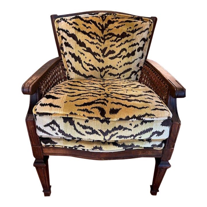 1940s Newly Upholstered Cane Chair in Scalamandre Le Tigre Ivory, Gold ...