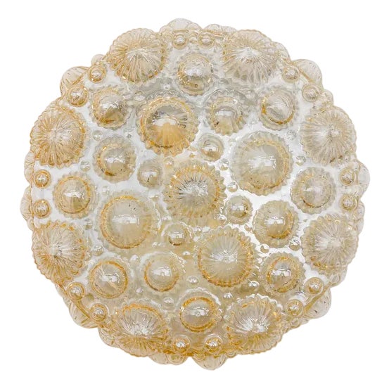 Mid-Century Modern Round Amber 3D Fossil Shell-Shaped Flush Mount, 1960s For Sale