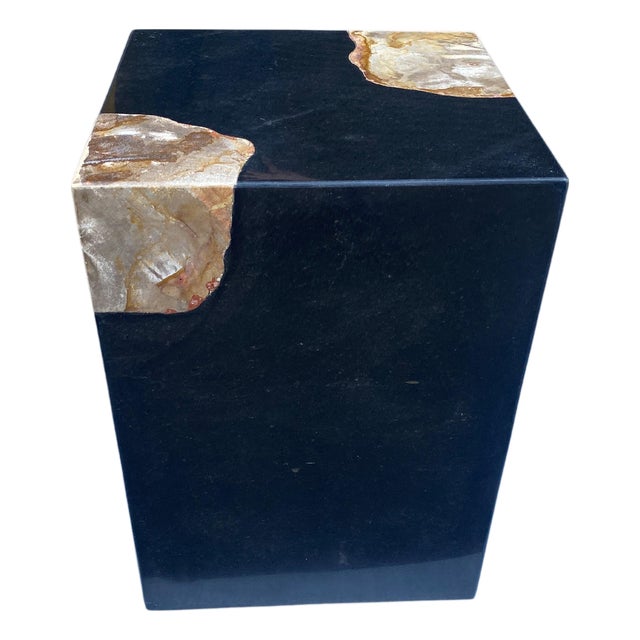 Andrianna Shamaris Volcanic Stone and Petrified Wood Side Table For Sale