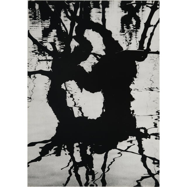 Lucien CLERGUE (1934-2014) Fourgues, 1960 Original period photogravure (rotogravure) Signed in pencil On matte paper, 24 x...