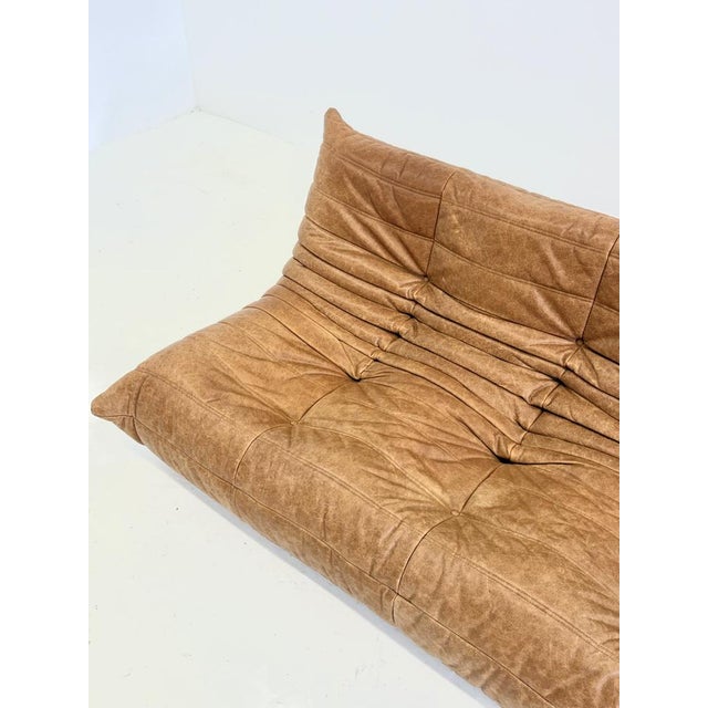 Animal Skin Togo 3-Seater Sofa in Cognac Leather by Michel Ducaroy for Ligne Roset For Sale - Image 7 of 10