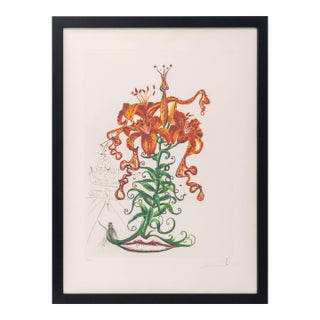 Salvador Dali "Tiger Lily (Mustache)" Etching 1972 For Sale
