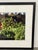 Israel Fruit and Vegetable Market Stand Photograph, Framed For Sale - Image 4 of 12