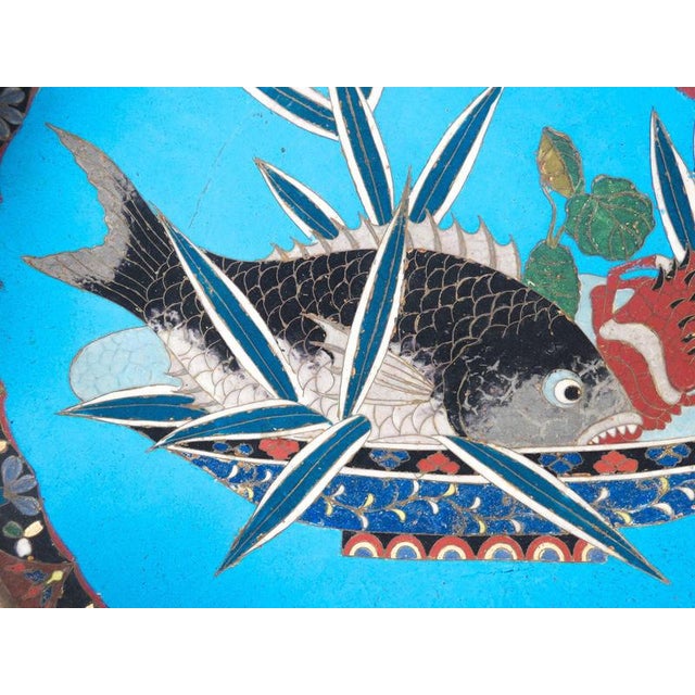 Meiji Cloisonné Enamel Plate, Japan For Sale - Image 14 of 18