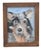 2020s Charming Folk Art Doggie Dog Puppy Oil Painting Including the Brown Wood Frame For Sale - Image 5 of 5