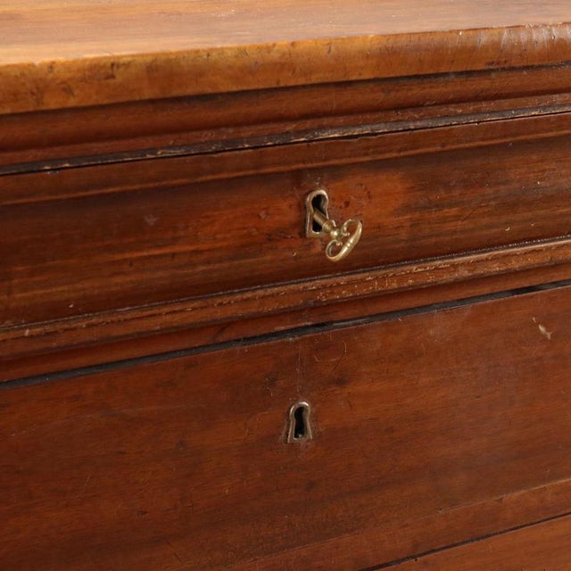 Wood 19th Century Louis Philippe Walnut Chest of Drawers, Italy For Sale - Image 7 of 12