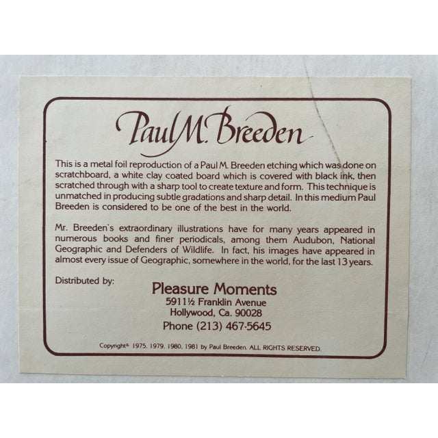 Paul M. Breeden Tiger and Lion Metal Foil Etching Art - a Pair For Sale - Image 9 of 13