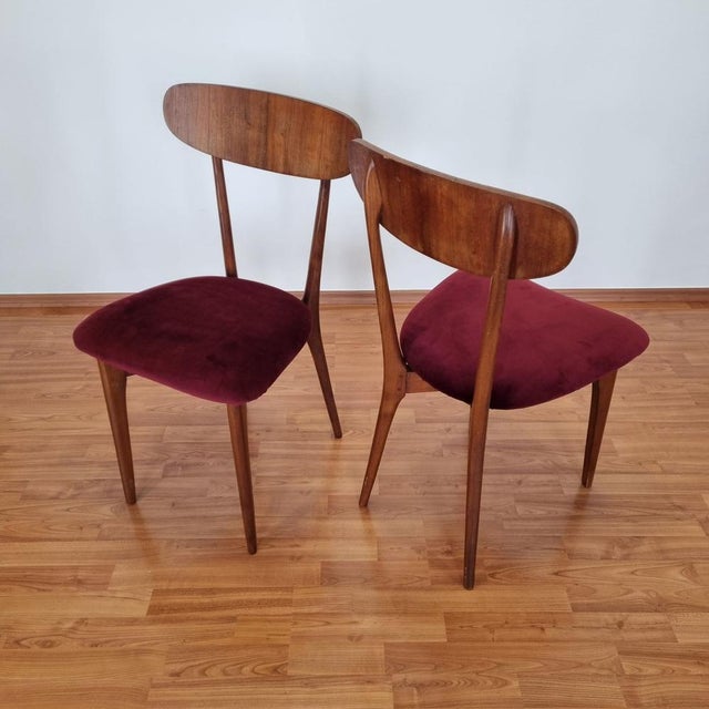 Mid-Century Italian Dining Chairs, 1960s, Set of 6 For Sale - Image 10 of 14