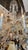 Baccarat Early 19th Century Large Attributed to Baccarat Crystal Chandelier For Sale - Image 4 of 9