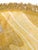 Vera Neumann Vera Neumann Round 58" Cotton Tablecloth With Fringe For Sale - Image 4 of 10