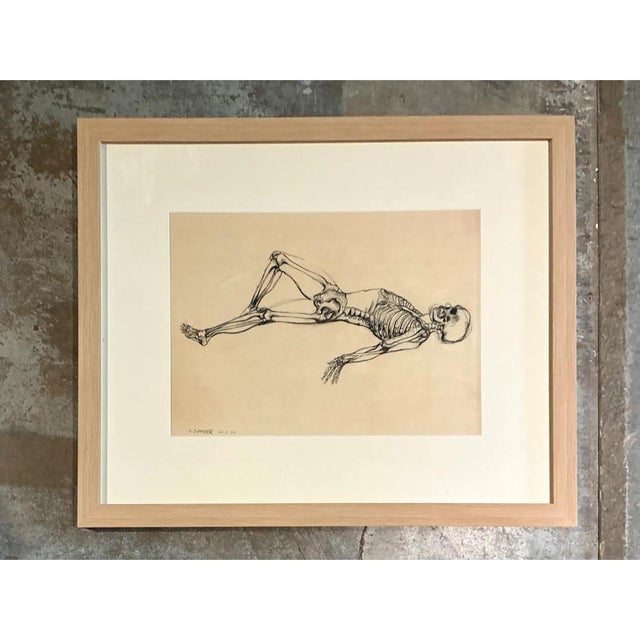Vintage Framed Reclining Skeleton Study on Paper For Sale In West Palm - Image 6 of 12
