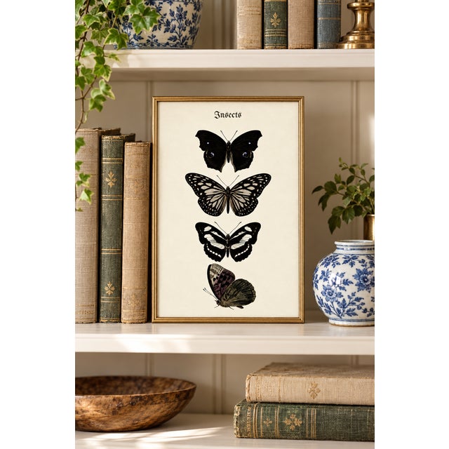 Bunny Williams Home Butterfly Art Print – Vintage Natural History Illustration, 12" X 18" For Sale - Image 4 of 9