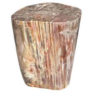 Andrianna Shamaris Coral Toned High Quality Petrified Wood Side Table For Sale