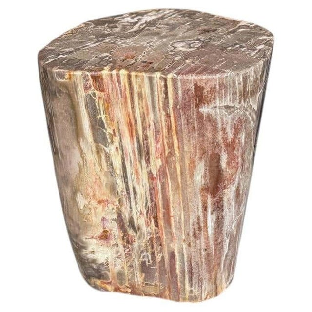 Andrianna Shamaris Coral Toned High Quality Petrified Wood Side Table For Sale