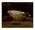 Green Mid 19th Century Still Life Oil Painting of Shells by August Holmberg For Sale - Image 8 of 8