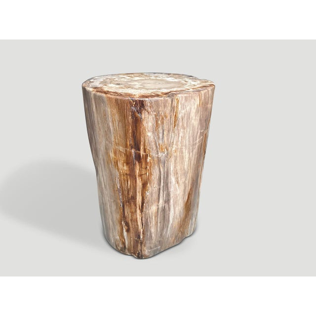 Impressive rare coral tone high quality petrified wood side table. It’s fascinating how Mother Nature produces these...