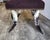 Anthony Redmile Mid 20th Century Hollywood Regency Steer Horn Bench/Ottoman - Manner of Anthony Redmile For Sale - Image 4 of 15