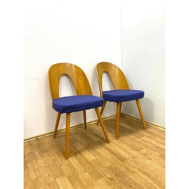 Chairs by Antonín Šuman for Ton, 1960s, Set of 2 For Sale - Image 4 of 10
