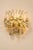 Metal Large Golden Gilded Brass & Crystal Sconces by C.Palme, Germany, 1970s, Set of 2 For Sale - Image 7 of 10