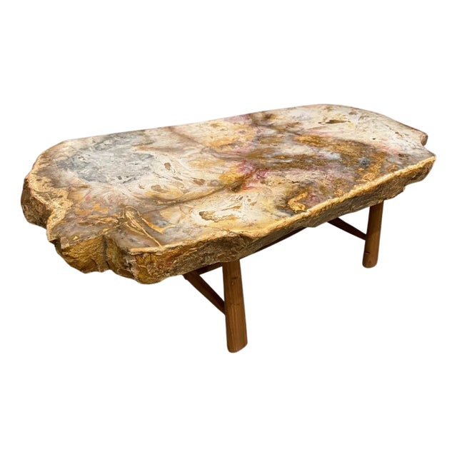 Andrianna Shamaris Beautiful Rare Petrified Wood Coffee Table For Sale