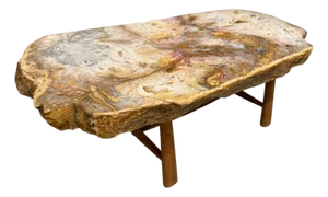 Andrianna Shamaris Beautiful Rare Petrified Wood Coffee Table