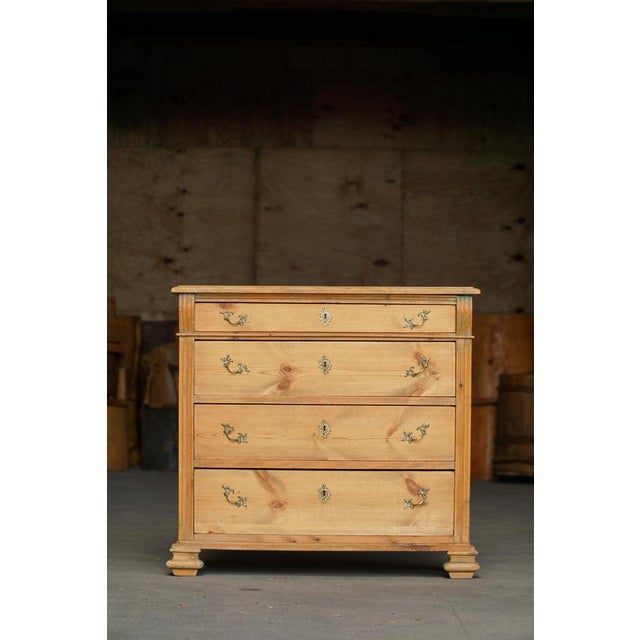 Gustavian (Swedish) Vintage Danish Chest of Drawers in Pine, 1920s For Sale - Image 3 of 17