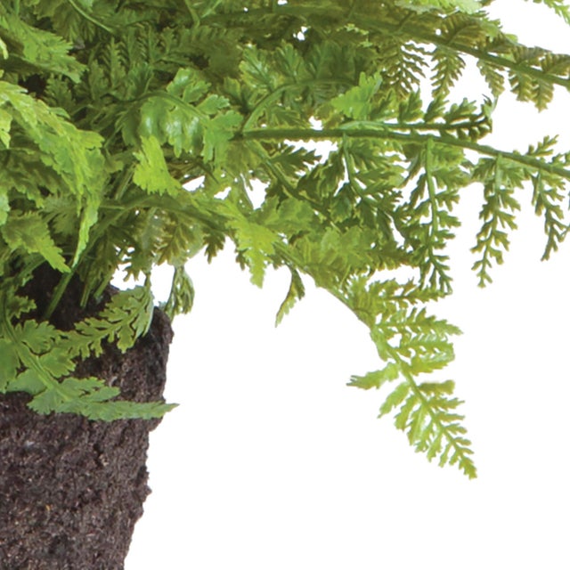 Kenneth Ludwig Chicago Soft Fern Drop-In 10.5" For Sale - Image 4 of 4