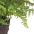 Kenneth Ludwig Chicago Soft Fern Drop-In 10.5" For Sale - Image 4 of 4