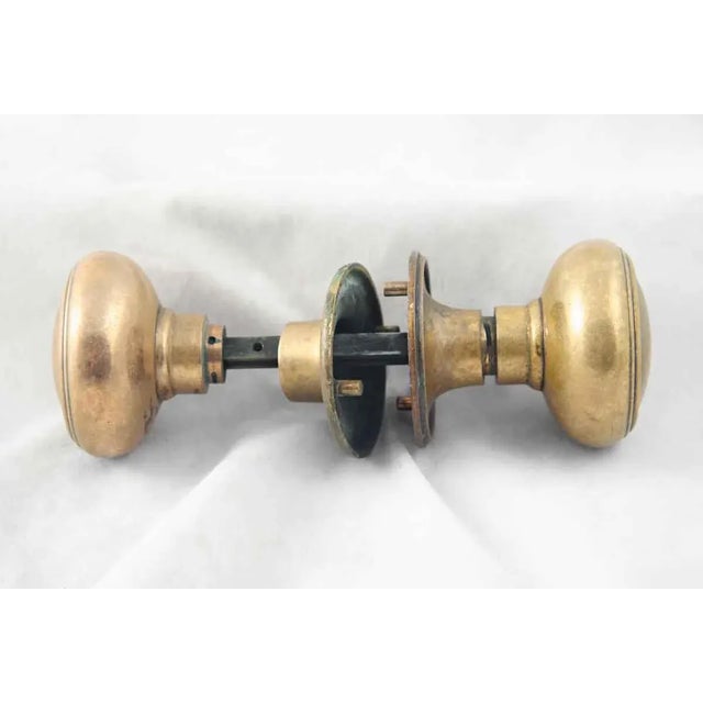 Traditional Pair of Mid 20th Century Concentric Brass Door Knobs With Rosettes For Sale - Image 3 of 3
