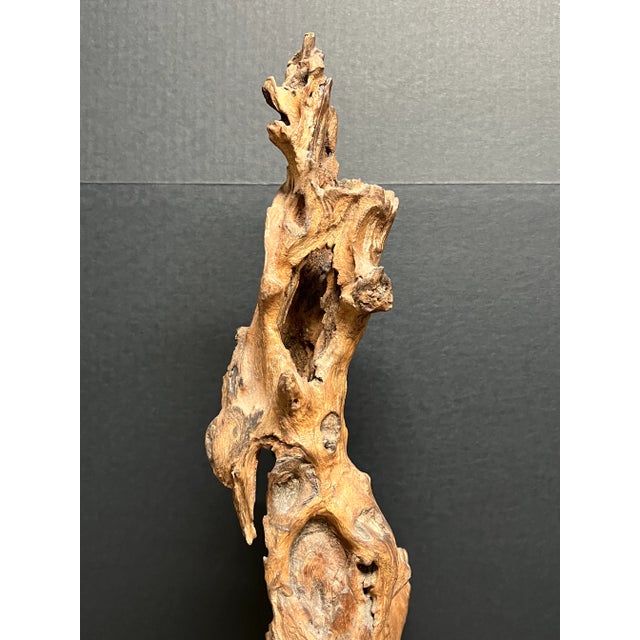 Brown Vintage Natural Abstract Driftwood Art Sculpture on Wooden Base For Sale - Image 8 of 12
