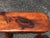 Mid-Century Modern Live Edge Bench or Table For Sale - Image 4 of 12